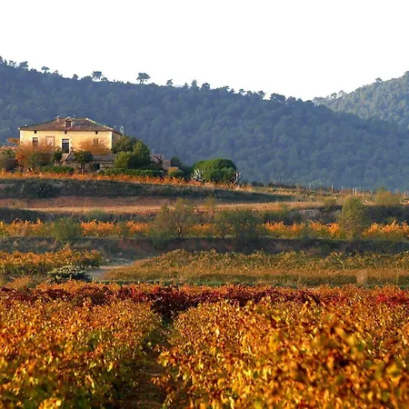 Mas Castell De Gimenelles Hotel *